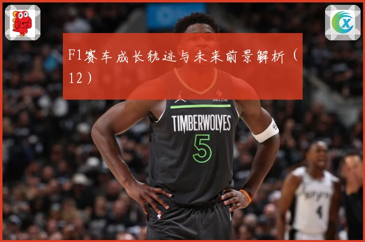 F1赛车成长轨迹与未来前景解析（12）