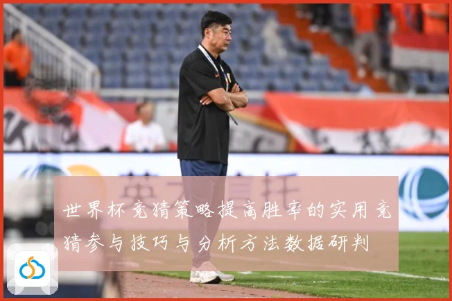 世界杯竞猜策略提高胜率的实用竞猜参与技巧与分析方法数据研判