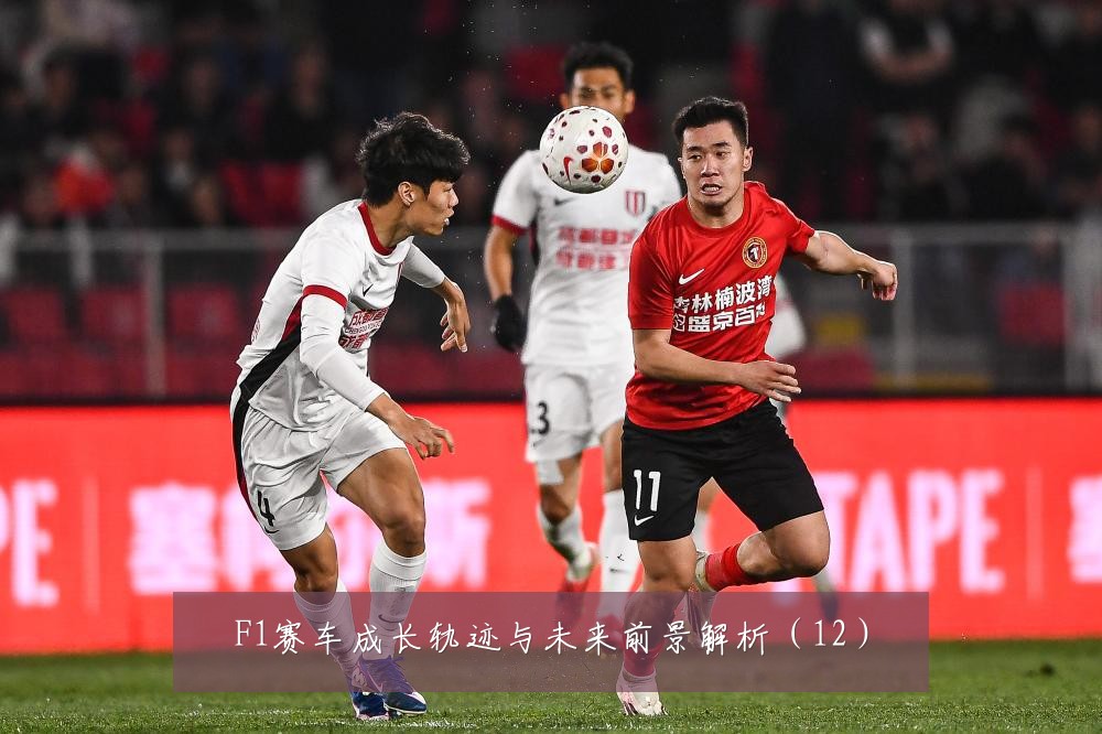 F1赛车成长轨迹与未来前景解析（12）