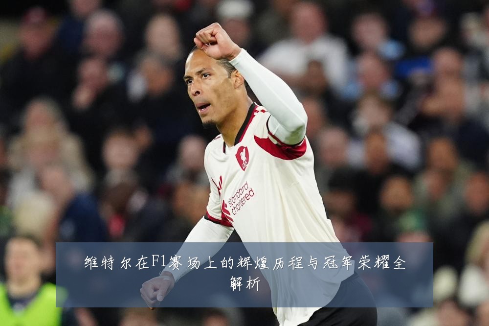 维特尔在F1赛场上的辉煌历程与冠军荣耀全解析